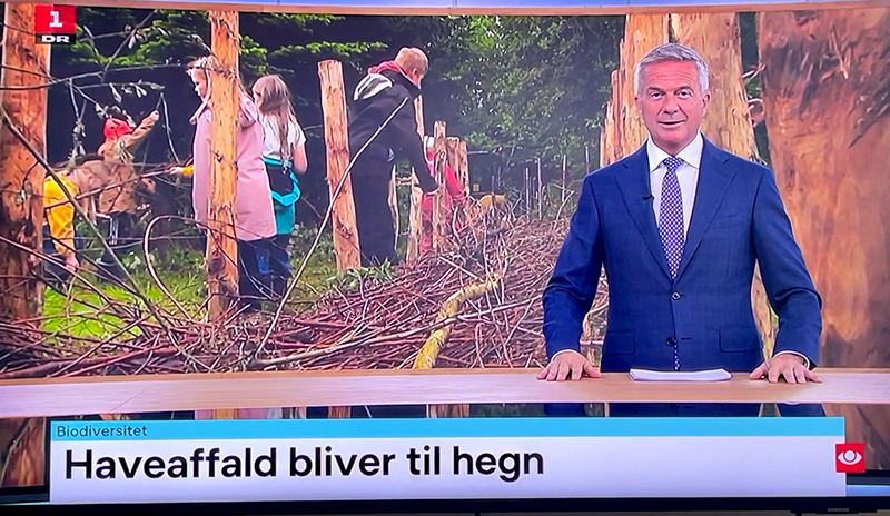 TV-avisen_Kvashegn